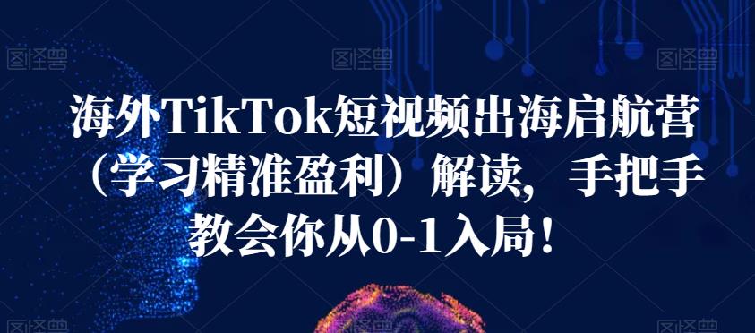 海外TikTok短视频出海启航营（学习精准盈利）解读，手把手教会你从0-1入局！-时光论坛