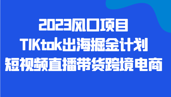 2023风口项目TIKtok出海掘金计划短视频直播带货跨境电商-时光论坛