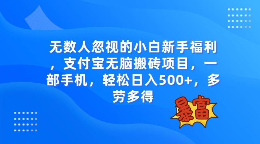 （7830期）无数人忽视的项目，支付宝无脑搬砖项目，一部手机即可操作，轻松日入500+-时光论坛