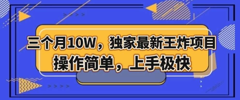 三个月10W，独家最新王炸项目！操作简单，上手极快【揭秘】-时光论坛