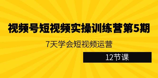 （9029期）视频号短视频实操训练营第5期：7天学会短视频运营（12节课）-时光论坛