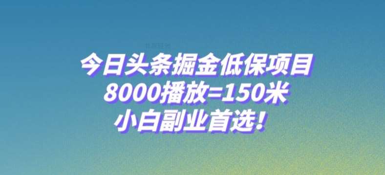 今日头条掘金低保项目，8000播放=150米，小白副业首选【揭秘】-时光论坛