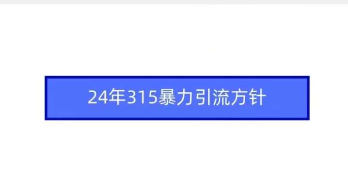 24年315暴力引流方针-时光论坛