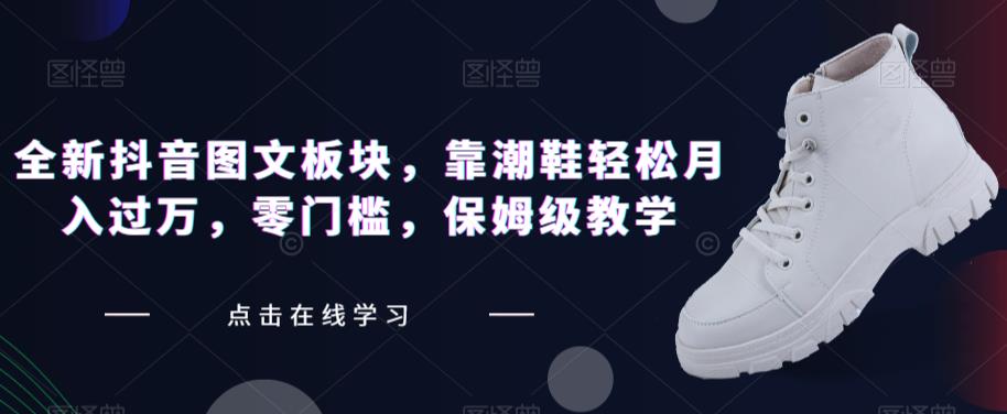 全新抖音图文板块，靠潮鞋轻松月入过万，零门槛，保姆级教学【揭秘】-时光论坛