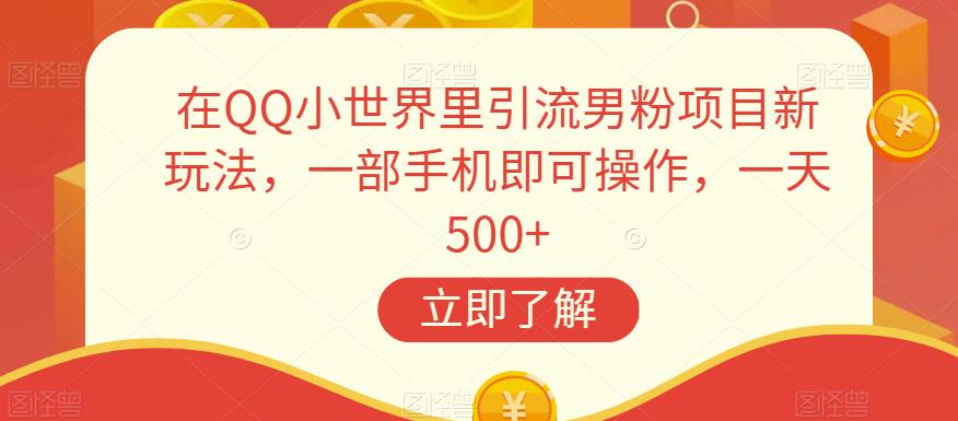 在QQ小世界里引流男粉项目新玩法，一部手机即可操作，一天500+【揭秘】-时光论坛