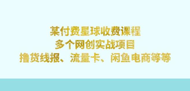 某付费星球课程：多个网创实战项目，撸货线报、流量卡、闲鱼电商等（文档非视频）-时光论坛