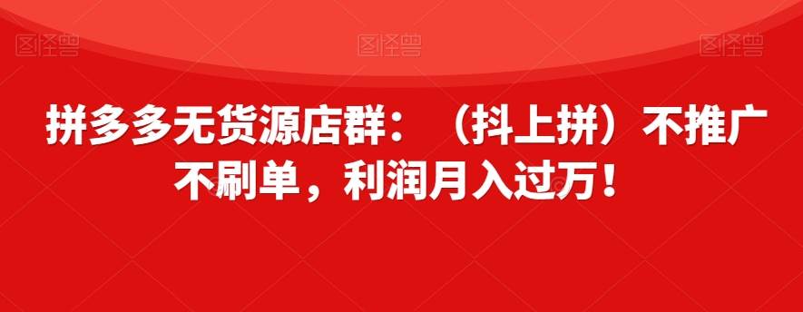 拼多多无货源店群：（抖上拼）不推广不刷单，利润月入过万！【揭秘】-时光论坛