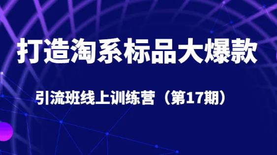 打造淘系标品大爆款引流班线上训练营5天直播授课-时光论坛