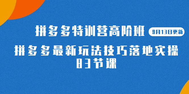 2023拼多多·特训营高阶班【9月13日更新】拼多多最新玩法技巧落地实操-83节-时光论坛