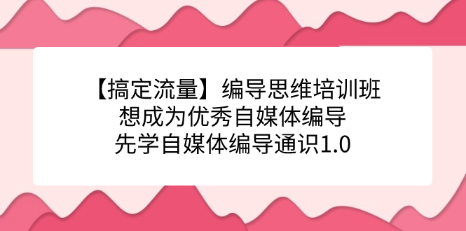 【搞定流量】编导思维培训班，想成为优秀自媒体编导先学自媒体编导通识1.0-时光论坛