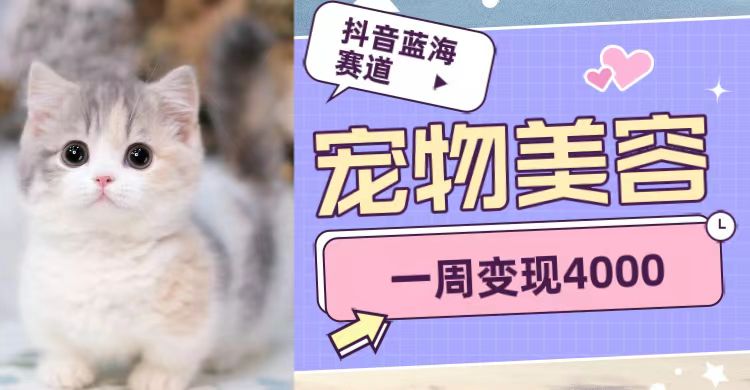 抖音蓝海赛道，宠物美容，一周变现4000-时光论坛