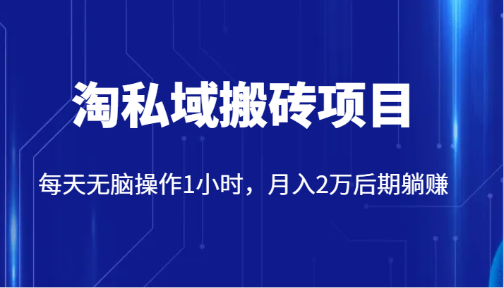 价值2980的淘私域搬砖项目，每天无脑操作1小时，月入2万后期躺赚-时光论坛