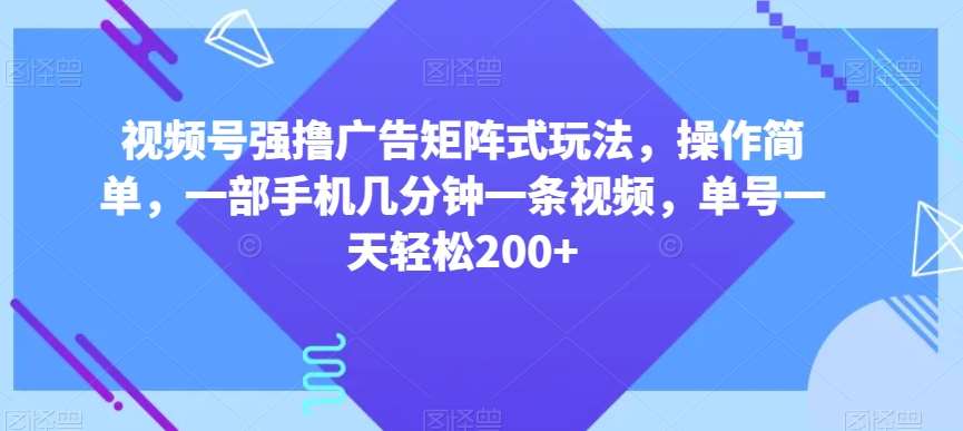 视频号强撸广告矩阵式玩法，操作简单，一部手机几分钟一条视频，单号一天轻松200+【揭秘】-时光论坛