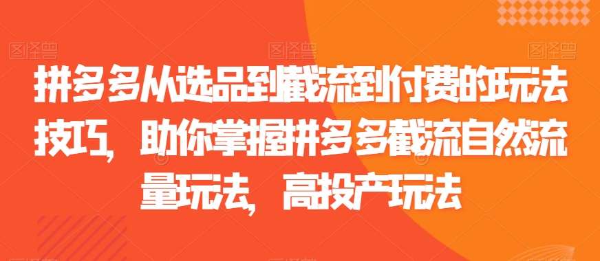 拼多多从选品到截流到付费的玩法技巧，助你掌握拼多多截流自然流量玩法，高投产玩法-时光论坛