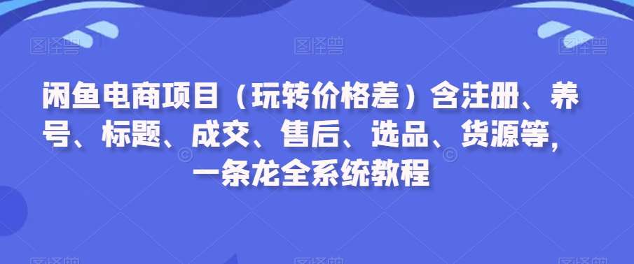 闲鱼电商项目（玩转价格差）含注册、养号、标题、成交、售后、选品、货源等，一条龙全系统教程-时光论坛