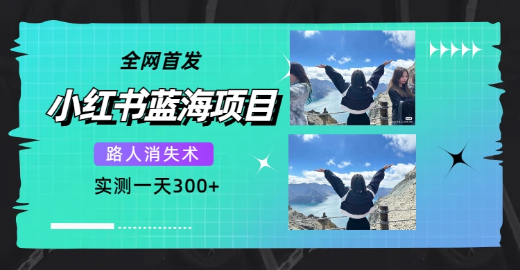全网首发，小红书蓝海项目，路人消失术，实测一天300+（教程+工具）-时光论坛