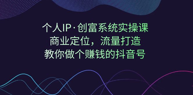 个人IP·创富系统实操课：商业定位，流量打造，教你做个赚钱的抖音号-时光论坛