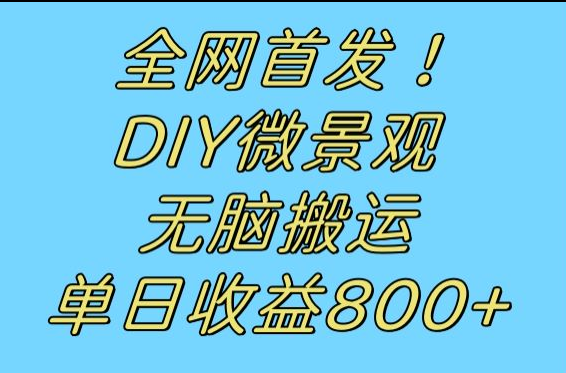 全网首发冷门赛道！DIY微景观，无脑搬运视频，日收益800+-时光论坛