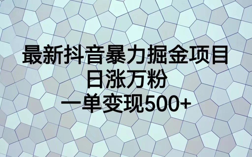 最新抖音暴力掘金项目，日涨万粉，一单变现500+-时光论坛