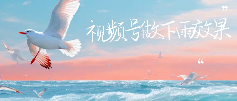 视频号做下雨视频，一个账号一周涨粉10W+，日入1000+附保姆级教程-时光论坛