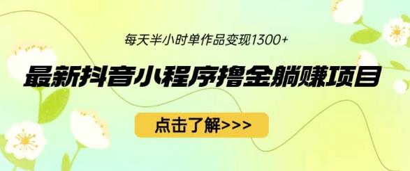 最新抖音小程序撸金躺赚项目，一部手机每天半小时，单个作品变现1300+【揭秘】-时光论坛
