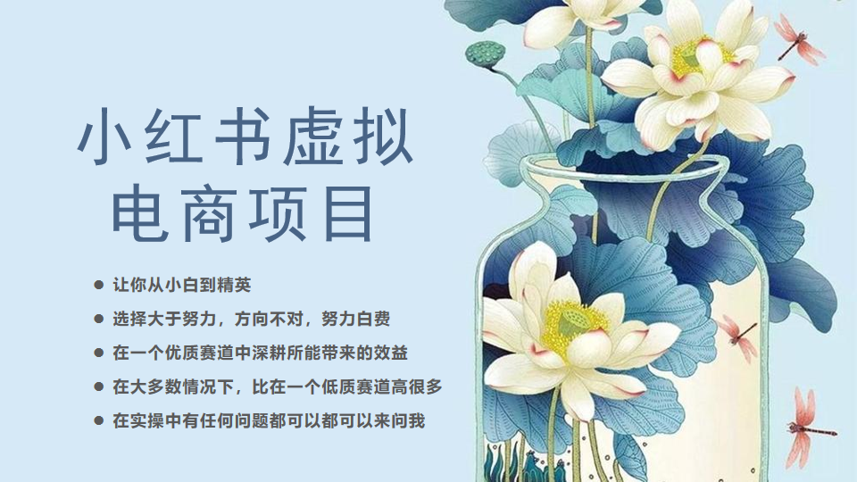 小红书虚拟电商从0到1小白到精英（20节实操课程）-时光论坛