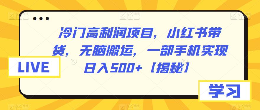 冷门高利润项目，小红书带货，无脑搬运，一部手机实现日入500+【揭秘】-时光论坛
