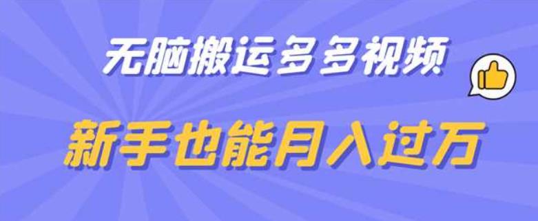 无脑搬运多多视频，新手也能月入过万【揭秘】-时光论坛