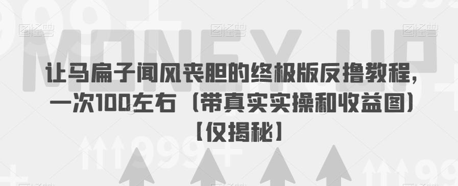 让马扁子闻风丧胆的终极版反撸教程，一次100左右（带真实实操和收益图）【仅揭秘】-时光论坛