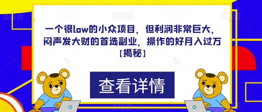 一个很low的小众项目，但利润非常巨大，闷声发大财的首选副业，操作的好月入过万【揭秘】-时光论坛