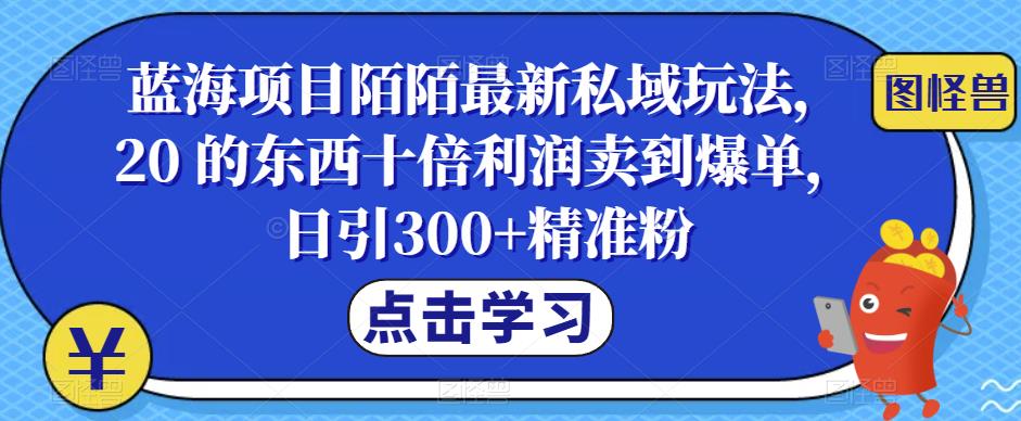 蓝海项目陌陌最新私域玩法，20 的东西十倍利润卖到爆单，日引300+精准粉【揭秘】-时光论坛