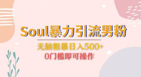 Soul暴力引流男粉玩法，无脑粗暴日入500＋，0门槛即可操作【揭秘】-时光论坛