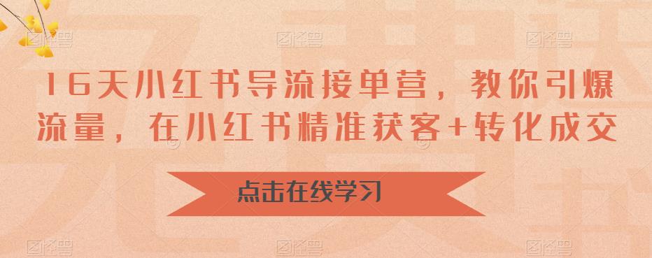 16天小红书导流接单营，教你引爆流量，在小红书精准获客+转化成交-时光论坛