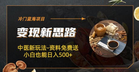 冷门蓝海项目-中医新玩法-资料免费送小白也能日入500+【揭秘】-时光论坛