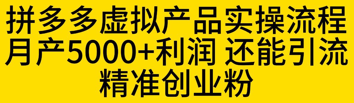 拼多多虚拟产品实操流程，月产5000+利润，还能引流精准创业粉【揭秘】-时光论坛