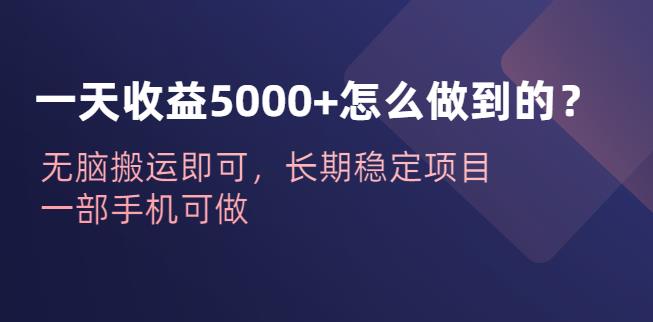 一天收益5000+怎么做到的？无脑搬运即可，长期稳定项目，一部手机可做【揭秘】-时光论坛