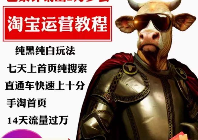 猫老师·淘系算法逆向解密，​纯黑纯白玩法，七天上首页纯搜索，手淘首页14天流量过万-时光论坛