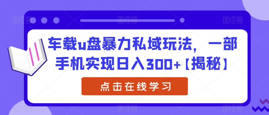 车载u盘暴力私域玩法，一部手机实现日入300+【揭秘】-时光论坛