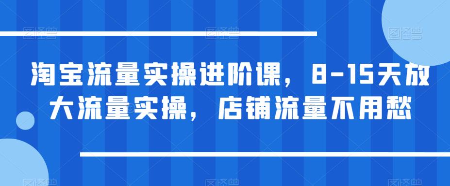 淘宝流量实操进阶课，8-15天放大流量实操，店铺流量不用愁-时光论坛