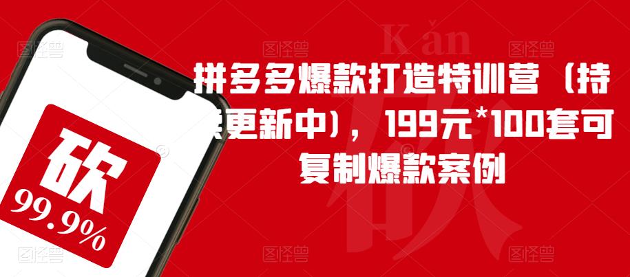 拼多多爆款打造特训营（持续更新中)，199元*100套可复制爆款案例-时光论坛