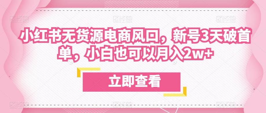 众狼电商余文小红书无货源电商风口，新号3天破首单，小白也可以月入2w+-时光论坛