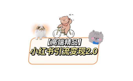 小红书最新引流变现教程，全网最新最详细的视频教程以及素材-时光论坛