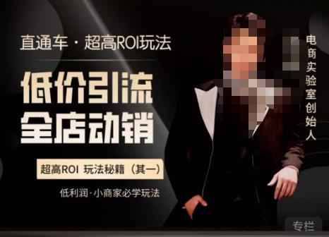 电商冰可乐·直通车·《低价引流·全店动销》，直通车·超高ROI玩法（其一）全店动销必学玩法-时光论坛