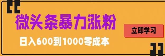 微头条暴力涨粉技巧搬运文案就能涨几万粉丝，简单0成本，日赚600【揭秘】-时光论坛