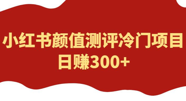 外面1980的项目，小红书颜值测评冷门项目，日赚300+【揭秘】-时光论坛