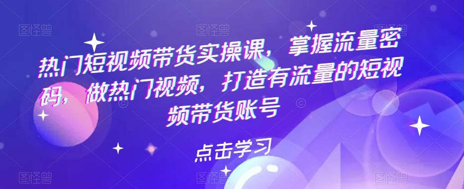 热门短视频带货实操课，掌握流量密码，做热门视频，打造有流量的短视频带货账号-时光论坛