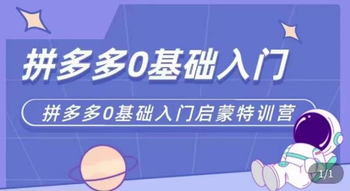 拼多多运营0-1实操特训营，拼多多0基础入门，从基础到进阶的可实操玩法-时光论坛