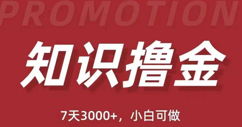 抖音知识撸金项目：简单粗暴日入1000+执行力强当天见收益(教程+资料)-时光论坛