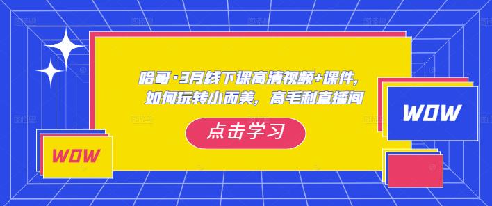 哈哥·3月线下实操课高清视频+课件，如何玩转小而美，高毛利直播间-时光论坛