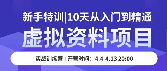 虚拟资料项目新手特训，10天从入门到精通，保姆级实操教学-时光论坛